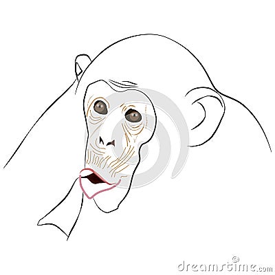 Chimpanzee is surprised. Vector Illustration